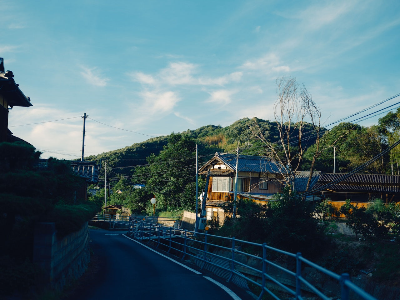 大三島 | Omishima